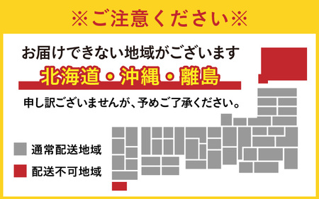 越前おおの　毎川金花堂　でっち羊かん小サイズ（500g）×4箱
