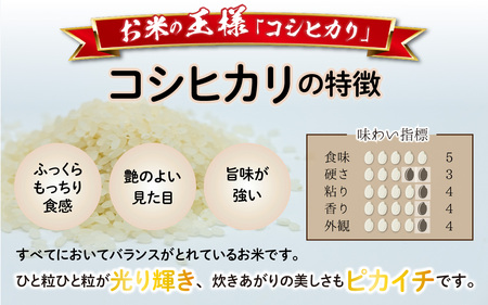 【先行予約】【令和6年産 新米】福井県大野市産 JGAP認証 コシヒカリ「あかね」（白米）5kg×2袋　計10kg【11月初旬より順次発送】