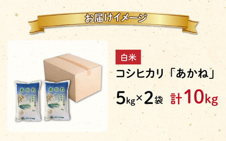 【先行予約】【令和6年産 新米】福井県大野市産 JGAP認証 コシヒカリ「あかね」（白米）5kg×2袋　計10kg【11月初旬より順次発送】