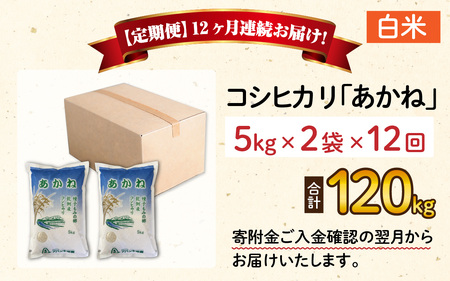 【先行予約】【令和6年産 新米】【12ヶ月定期便】福井県大野市産 JGAP認証 コシヒカリ「あかね」（白米）5kg×2袋＝10kg×12回　計120kg