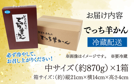 【先行予約】大野市の名水を使った冬限定の「でっち羊かん」（手作り菓子工房 豊栄堂の水ようかん）中サイズ（870g）×1箱【11月以降順次発送】