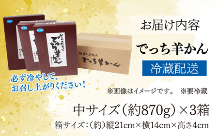 【先行予約】大野市の名水を使った冬限定の「でっち羊かん」（手作り菓子工房 豊栄堂の水ようかん）中サイズ（870g）×3箱【11月以降順次発送】