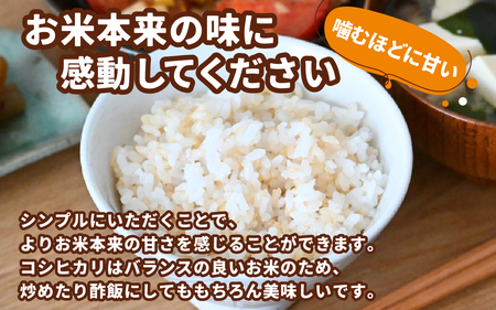 【先行予約】【令和6年産 新米】純ちゃん農園のコシヒカリ白米10kg（5kg×2袋）【農家直送】