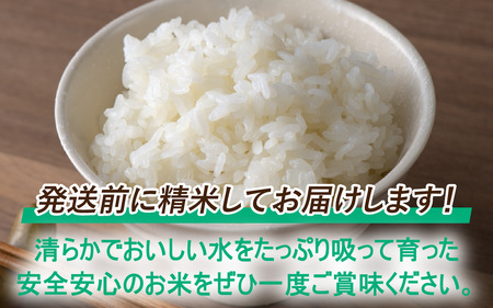 【先行予約】【令和7年産 新米】減農薬・減化学肥料の特別栽培コシヒカリ 白米 5kg 農家直送 福井県大野市産