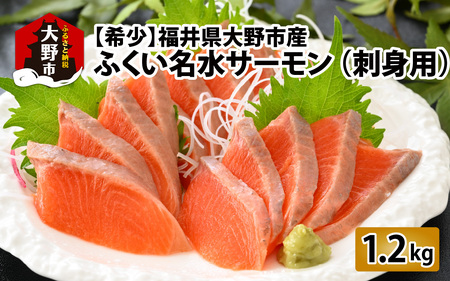 【希少】福井県大野市産 ふくい名水サーモン 1尾 約1.2kg（生食・加熱用）真空冷凍 [C-014003]