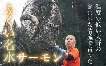 【希少】福井県大野市産 ふくい名水サーモン 1尾 約1.2kg（生食・加熱用）真空冷凍 [C-014003]