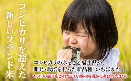 【令和7年産 新米】福井県産 いちほまれ（白米）5kg [A-097001]