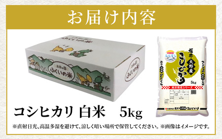 【令和7年産】大野産コシヒカリ（白米）5kg【大野ブランド米 名水育ち】[A-097002]