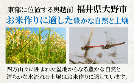 【3ヶ月定期便】【令和7年産】大野産コシヒカリ（白米）10kg×3回 計30kg【大野ブランド米 名水育ち】[G-097001]
