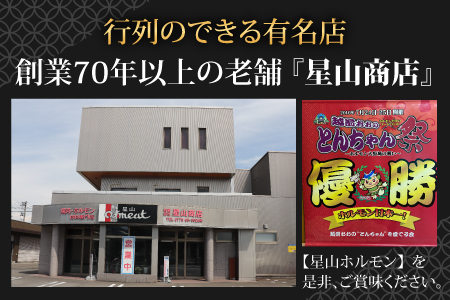 【年内配送】【12月25日までの入金確認分は年内お届け】 【全国ホルモン大会初代優勝】 星山ホルモン 白 1.2kg 使い方いろいろ (300g×4袋)(たれ付) 【行列のできるお店】 焼肉