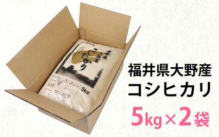 【先行予約】【令和7年産 新米】福井県大野産コシヒカリ（白米）10kg（5kg×2袋）