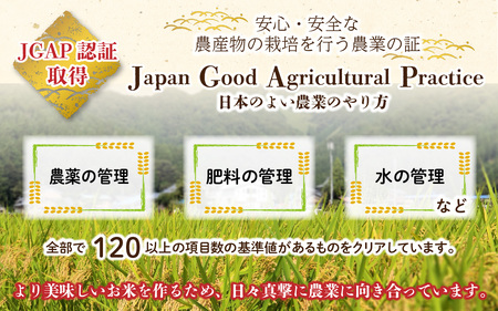 【先行予約】【令和7年産 新米】福井県大野市産 JGAP認証 コシヒカリ「あかね」（白米）10kg（5kg×2袋）