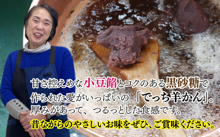 名水の里 越前大野 でっち羊かん（沖村香林堂 水羊かん）小サイズ（490g）×1箱