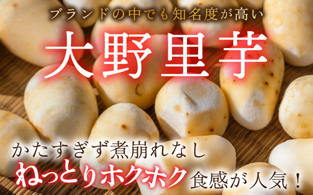 越前大野の里芋の洗い子【冷蔵】2kg｜ 里芋 