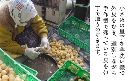 越前大野の里芋の洗い子【冷蔵】2kg｜ 里芋 