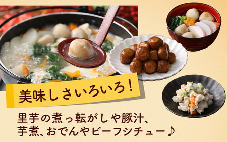 【令和7年産 収穫開始!】皮むきいらず、煮っ転がしに最適!上庄の里芋の洗い子【冷蔵】2kg