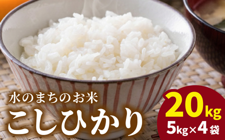 【令和7年産】こしひかり（福井県大野市産）エコファーマー米（白米）20kg（5kg×4袋）[F-003005] 25,900円