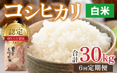 【令和7年産】【6ヶ月定期便】越前大野産 エコファーマー認定農家栽培こしひかり 白米 5kg × 6回 計30kg  [I-001001_01]