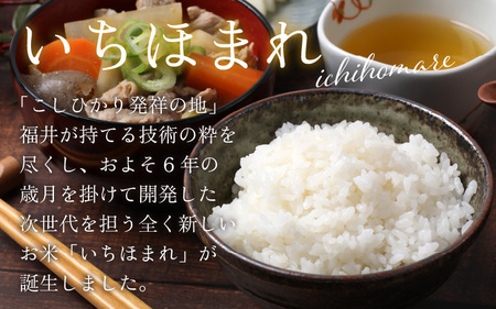 【3ヶ月定期便】【令和7年産】【福井のブランド米】【特A獲得】いちほまれ 白米 5kg × 1袋（合計15kg）