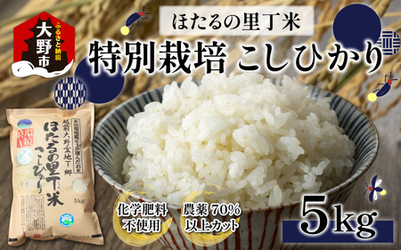 【令和5年産】ベストファーマー ほたるの里 特別栽培こしひかり 5kg 化学肥料不使用 農薬70％以上カット[A-002003]