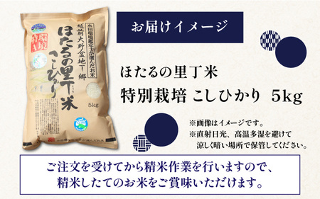 【先行予約】【令和7年産 新米】ベストファーマー ほたるの里 特別栽培こしひかり 5kg 化学肥料不使用 農薬70％以上カット[A-002003]