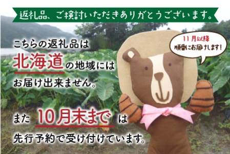【先行予約】【年内お届け】上庄里芋「麻奈姫」3kg「農家直送」【11月初旬～順次発送】