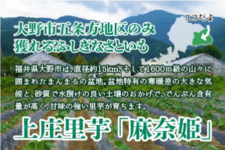 【先行予約】【年内お届け】上庄里芋「麻奈姫」3kg「農家直送」【11月初旬～順次発送】