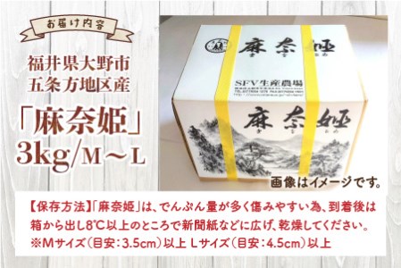【先行予約】【年内お届け】上庄里芋「麻奈姫」3kg「農家直送」【11月初旬～順次発送】