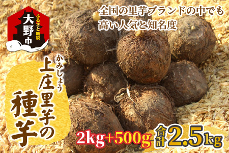 日本の美味い里芋を栽培！上庄里芋の種芋 2kg + 500g【2026年3月10日～出荷】 [A-001014]