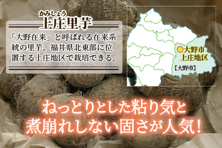 日本の美味い里芋を栽培！上庄里芋の種芋 2kg + 500g【2026年3月10日～出荷】 [A-001014]