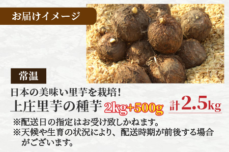 日本の美味い里芋を栽培！上庄里芋の種芋 2kg + 500g【2026年3月10日～出荷】 [A-001014]