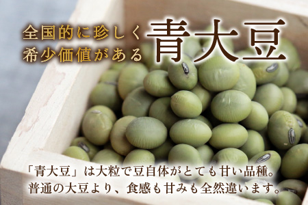 農家直送 豆好きのあなたに贈る 厳選大粒豆セット 計2kg（青大豆 1kg 赤大豆 1kg） [A-001028]