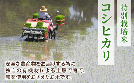 【令和7年産 新米】【4ヶ月連続お届け】福井県認証の特別栽培米 コシヒカリ  5kg×4回(計20kg) [D-011001]