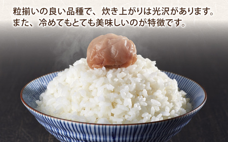 【令和7年産 新米】【4ヶ月連続お届け】福井県認証の特別栽培米 コシヒカリ  5kg×4回(計20kg) [D-011001]