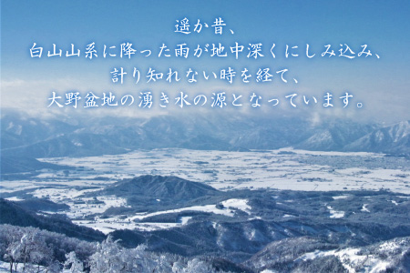 【3ヶ月連続お届け】奥越前の水 PET2L×6本 計3回 　天然水　天然水