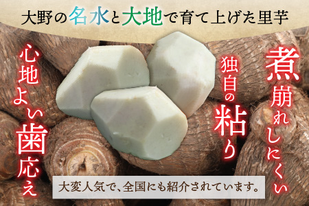 【先行予約】【年内お届け】麦田さんの農作物　上庄里芋 5kg 　M～Lサイズ【2025年10月中旬より順次発送】  [A-012001]