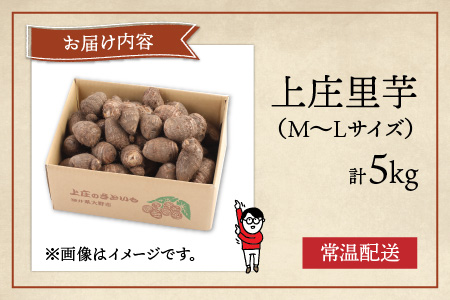 【先行予約】【年内お届け】麦田さんの農作物　上庄里芋 5kg 　M～Lサイズ【2025年10月中旬より順次発送】  [A-012001]
