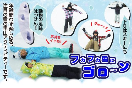 雪の森をワクワク歩こう！スノーシューガイドツアーin六呂師高原 2名様分 [B-010002]