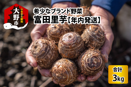 【2021年度分先行予約】ねっとりまろやかやわらかめ富田里芋4kg