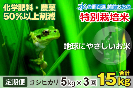 令和5年産 新米】【3ヶ月定期便】こしひかり 5kg × 3回 計15kg【白米