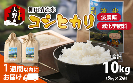 【令和6年産 新米】名水の里越前大野の棚田清流米コシヒカリ5kg×2袋 減農薬 減化学肥料[B-011002]|こしひかり 農薬いらず 合計10kg 国産 送料無料