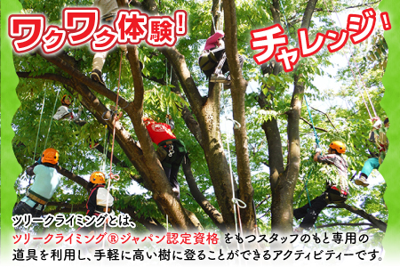 ワクワク 木登り体験！ツリークライング＆森カフェ2名様分 [B-010001]