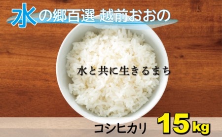 【令和7年産】こしひかり（福井県大野市産）エコファーマー米（白米）15kg（5kg×3袋）[B-003005]