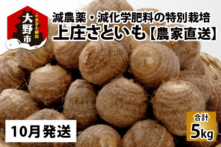 【先行予約】【10月発送分】上庄さといも 5kg 減農薬・減化学肥料の特別栽培里芋 農家直送 [A-004002_01]