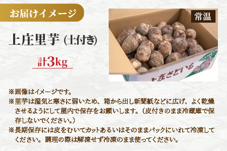 【先行予約】日本の美味い里芋！秋の味覚 上庄里芋 3kg【11月～年内出荷】