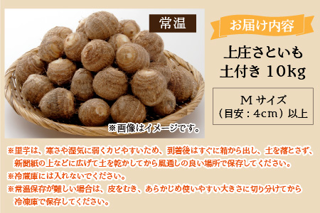 先行予約】【10月発送分】上庄さといも 10kg 減農薬・減化学肥料