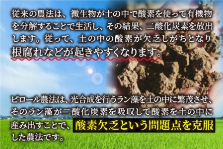 令和5年産】【6ヶ月定期便】こだわりの米！弱アルカリ性のピロール米