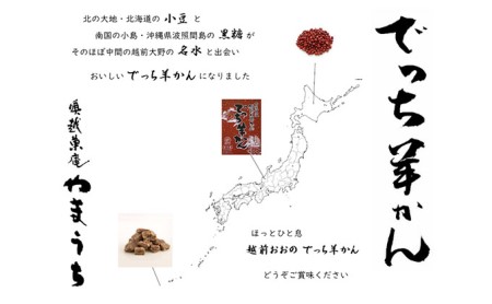 老舗和菓子店　福井県大野市冬の名物 でっち羊かん 厚サイズ（約540g）2本×1箱【11月～順次発送】