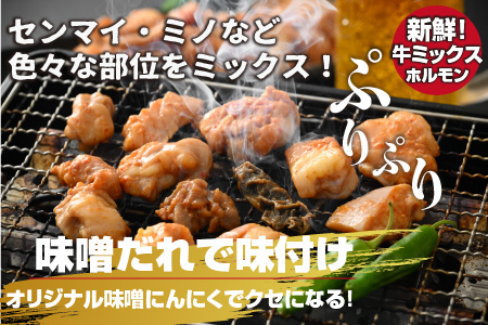 【先行予約】大美のとんちゃん（ミックス）牛ホルモン ミックス 味噌ダレ 1.5kg（500g×3パック）【2026年1月17日～順次発送開始】