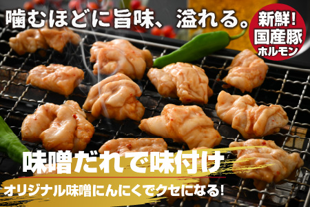 大美のとんちゃん（白）豚ホルモン シロ 味噌ダレ 1.5kg（500g×3パック）